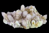 Cactus Quartz (Amethyst) Crystal Cluster - South Africa #132531-2